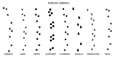 Footprints background set. Street art. Vector illustration.