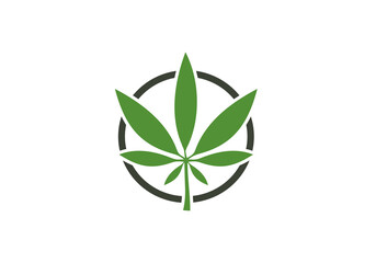cannabis leaf logo design template.icon for science technology
