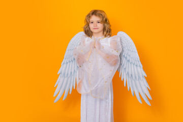 Cute angel kid, studio portrait. Blonde curly little angel child with angels wings, isolated...