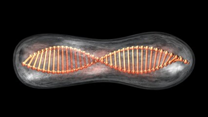 DNA preserved in ice. DNA molecule strand in transparent glass, ice container. DNA storage. Frozen DNA. 3d render illustration.