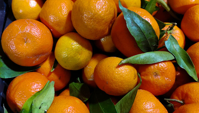 Arance e mandarini