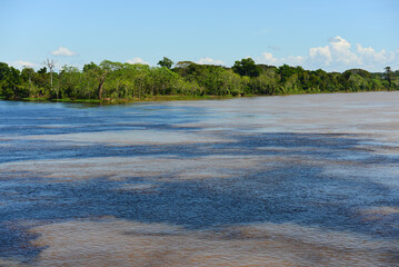 The confluence of the dark waters of the Guaporé-Itenez river with the sand-colored waters of the...