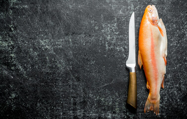 Raw trout fish with knife.