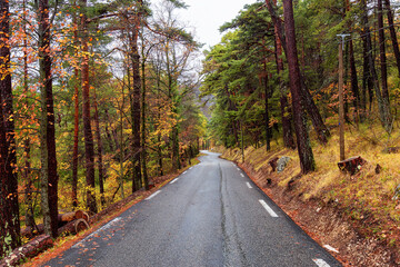 Obraz premium Scenic Road in the Mountain Forest. Fall Season. France, Europe. Adventure Travel