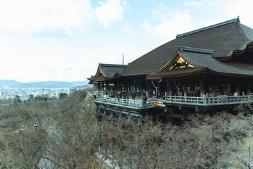 Fototapeta premium 清水寺