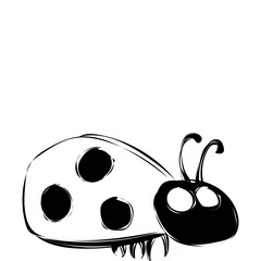 Fototapeta premium Marienkäfer 