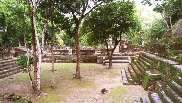 Mayan Temple of Caracol in Belize, Yucatan Peninsula, Central America.
