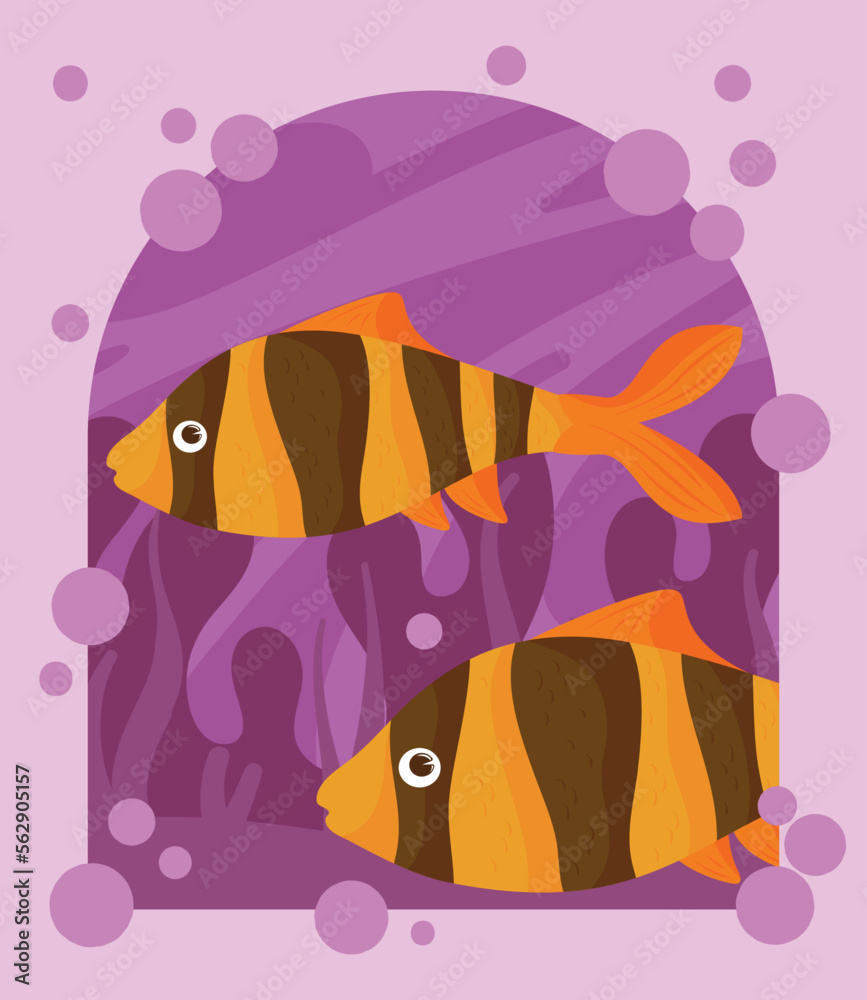 Sticker clownfishes marine sea