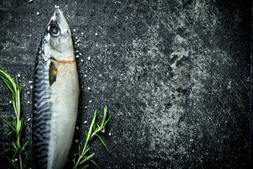 Raw fish mackerel with rosemary.
