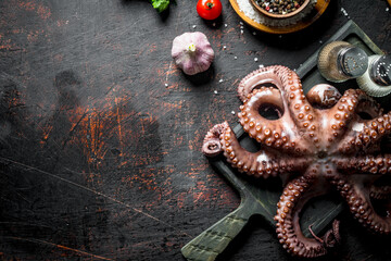 Octopus on a cutting Board with garlic and spices.
