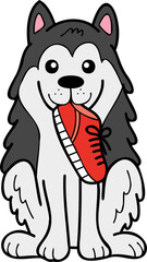Hand Drawn husky Dog holding shoes illustration in doodle style