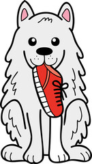 Hand Drawn Samoyed Dog holding shoes illustration in doodle style