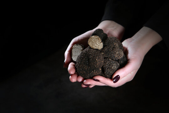 Truffle mushroom. Black truffle in women's hands. An expensive delicacy. Fragrant mushroom. A photo on a black background with copy of the space.