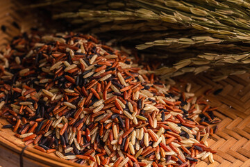 Raw three color jasmine rice.Thai rice grains