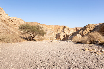 Fototapeta na wymiar The dried up river bed - the path to the Red Canyon, in the national reserve - the Red Canyon in the rays of the setting sun, near the city of Eilat, in southern Israel.