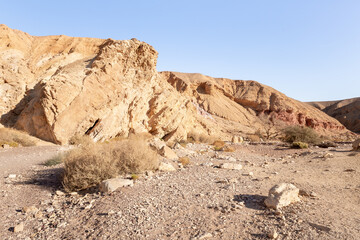 Fototapeta na wymiar The dried up river bed - the path to the Red Canyon, in the national reserve - the Red Canyon in the rays of the setting sun, near the city of Eilat, in southern Israel.