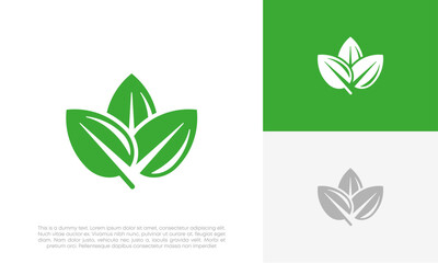 leaf green eco logo design vector