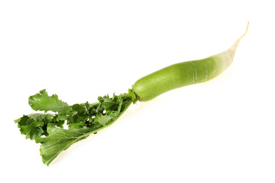 Whole  green radish on white background 