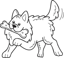 Hand Drawn Samoyed Dog holding the bone illustration in doodle style