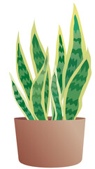 Home Pot Plants decoration style for indoor and outdoor interior. potting houseplants tree urban garden illustration