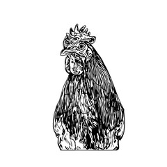 Black and white sketch of a chicken with a transparent background
