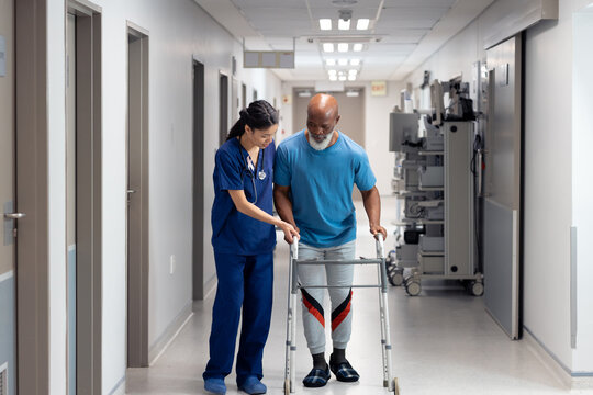 Diverse female doctor helping senior male patient use walking frame in hospital corridor, copy space