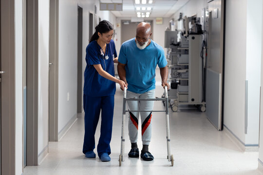 Diverse female doctor helping senior male patient use walking frame in hospital corridor, copy space
