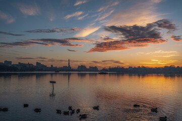 茨城県水戸市　焼ける千波湖の朝