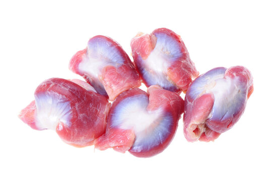 Raw Chicken gizzards on white background 