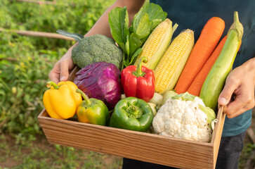 Farmer holding basket with vegetables