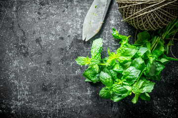 Fresh mint with old twine.