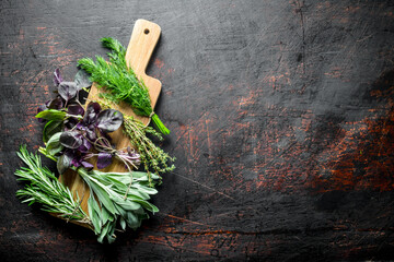 Various types of useful herbs on a wooden cutting Board. - Powered by Adobe