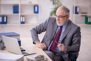 Old male employee working in the office