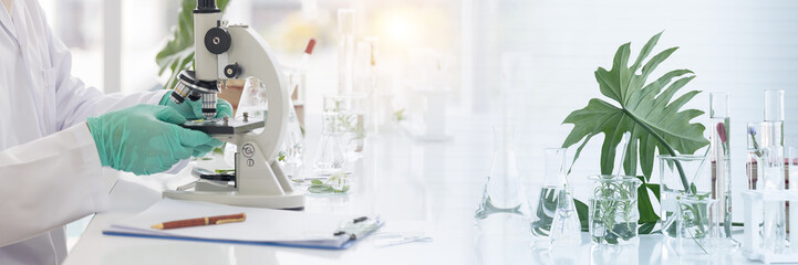 Scientists tests of plants in laboratory. Hands of scientists doing analysis for germs and bacteria with microscope in the laboratory