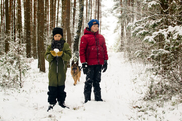 Naklejka premium Children and a dog play in nature in winter.