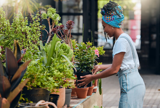 Business owner, black woman and plant shop for garden, nursery or greenhouse retail. Entrepreneur working in green startup store or market for sustainability, environment and gardening growth outdoor
