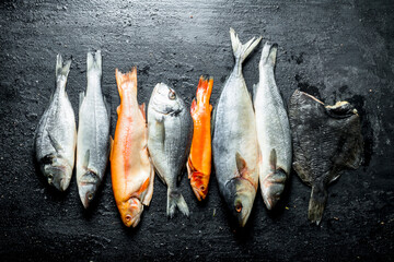Assortment of various fresh fish.