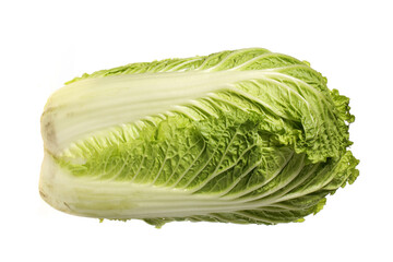 Chinese cabbage on white background 