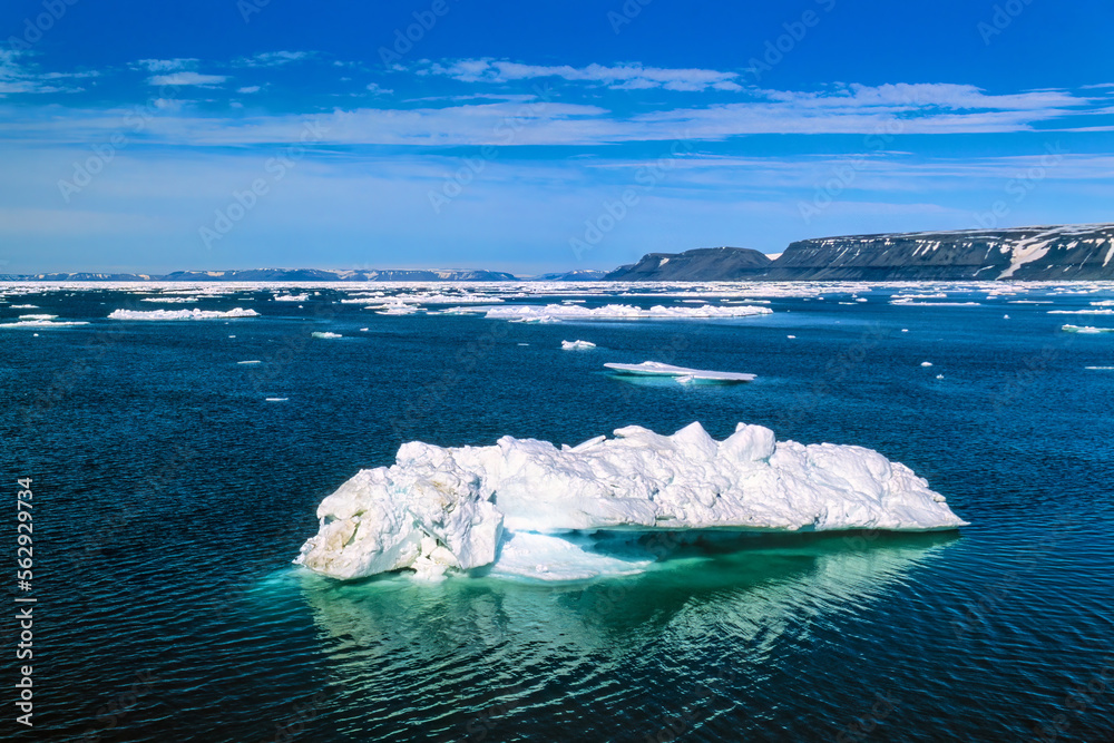 Canvas Prints Ice floes at the rocky coastline of Svalbard