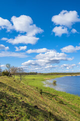 Fototapeta na wymiar Lake with a wetland in a beautiful landscape view in the spring