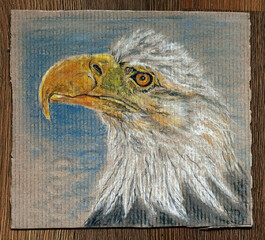 Single white eagle portrait closeup. Hand drawn pastel picture on the surface of rough cardboard. Bitmap image