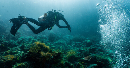 Scuba diver exploring coral reef close to Komodo Island in Indonesia
