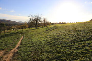 Streuobstwiese im Herbst