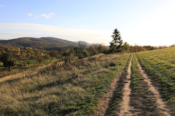 Obraz premium Wanderweg durch ein Feld