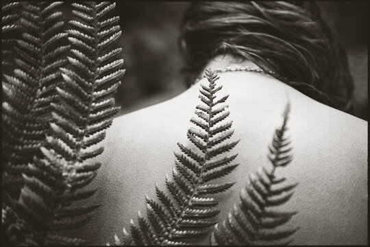 A close view of a fern frond laying against a young womans bare back, Lake Taupo, North Island, New Zealand.(Closeup)