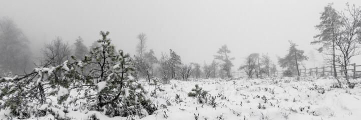 Winterlandschaft Rhön- Das Schwarze Moor im Winter 10