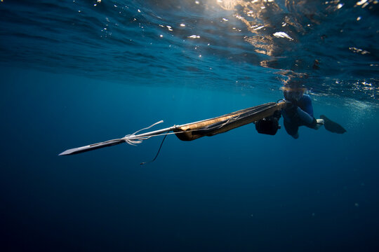 Underwater view of a woman swimming with a speargun, as the tip heads right past the camera in Costa Rica.
