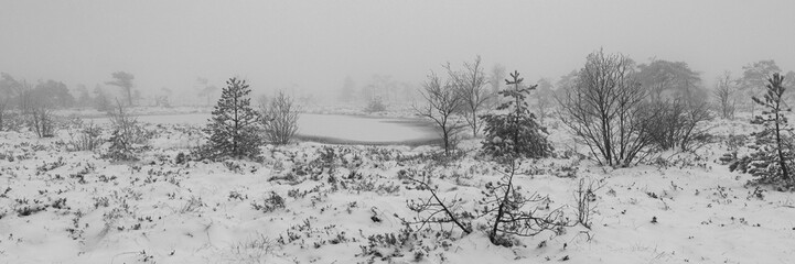Winterlandschaft Rhön- Das Schwarze Moor im Winter 4