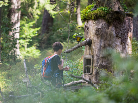 Girl hiking in black forest, Feldberg, Baden-W&uuml;rttemberg, Germany