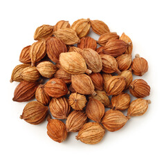 Dried Herbs, Latin name: Amomum villosum Lour. Chinese name: Xiang Sha Ren and known as Cocklebur-like Amomum Fruit, Fructus Amomi, Villous Amomum Fruit , Chinese herb medicinal on white background